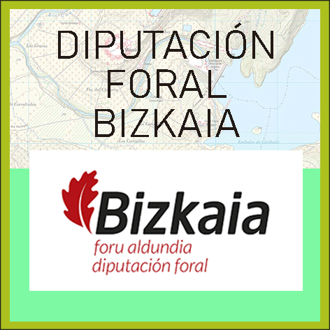 Diputación Foral de Bizkaia